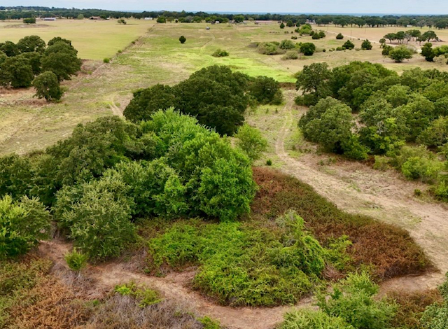 property-image-3