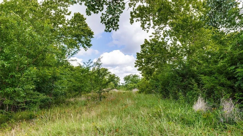 property-image-5