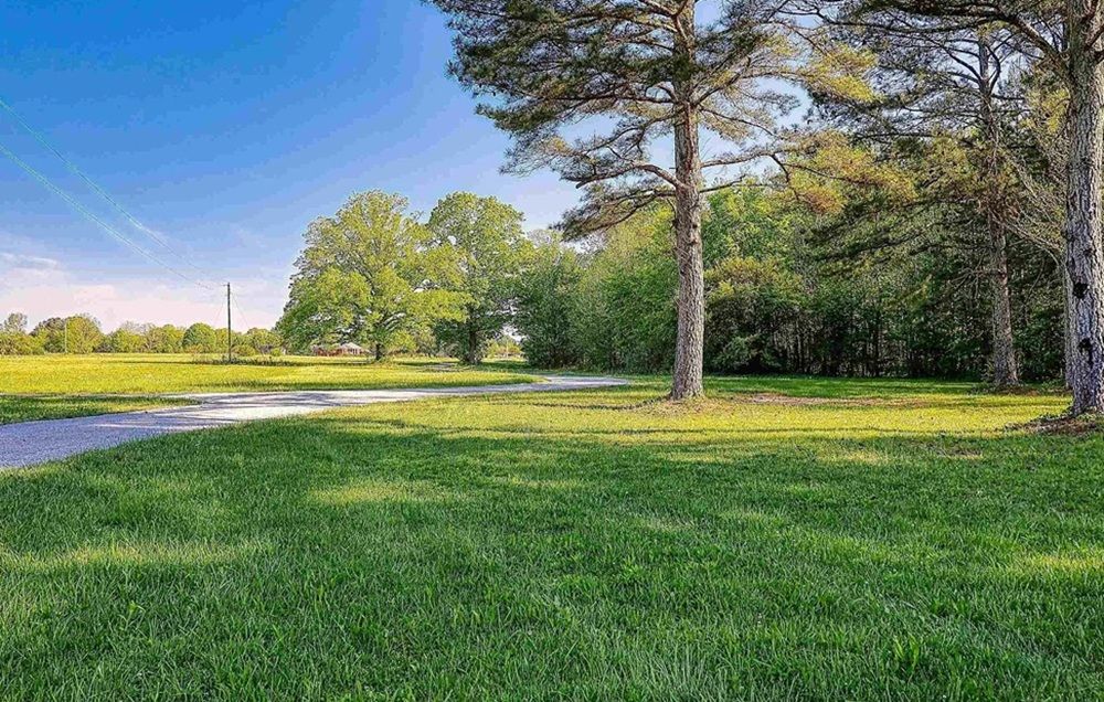 Spacious Log Estate