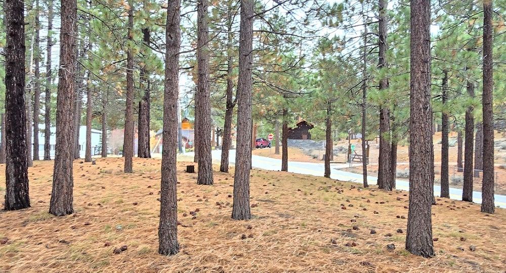 property-image-2