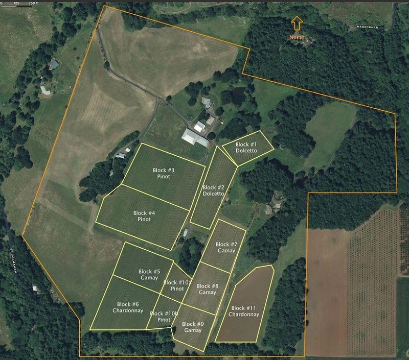 Jubilee Vineyard