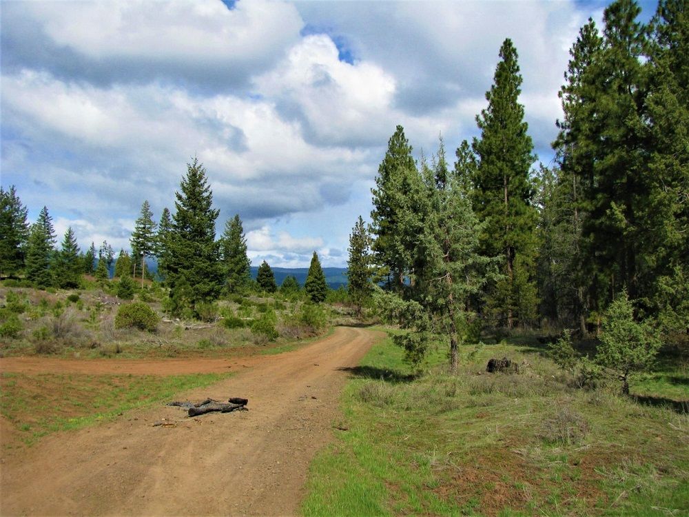 property-image-4