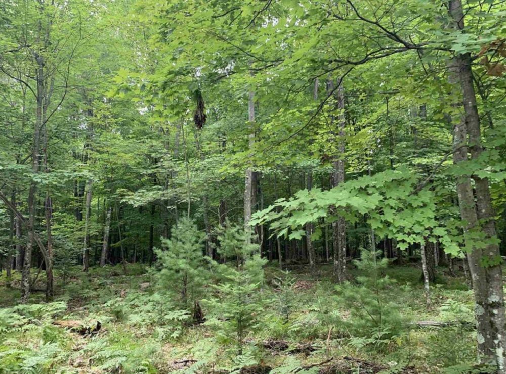 property-image-2