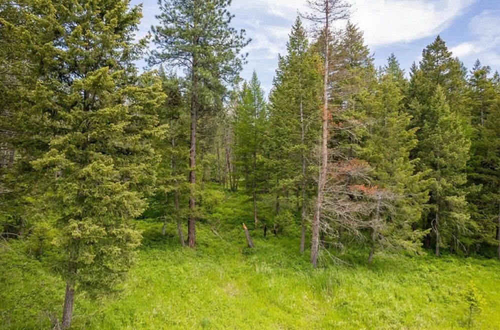 property-image-6