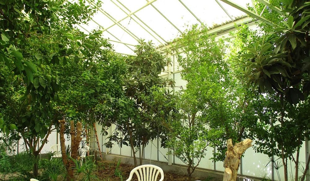 property-image-6