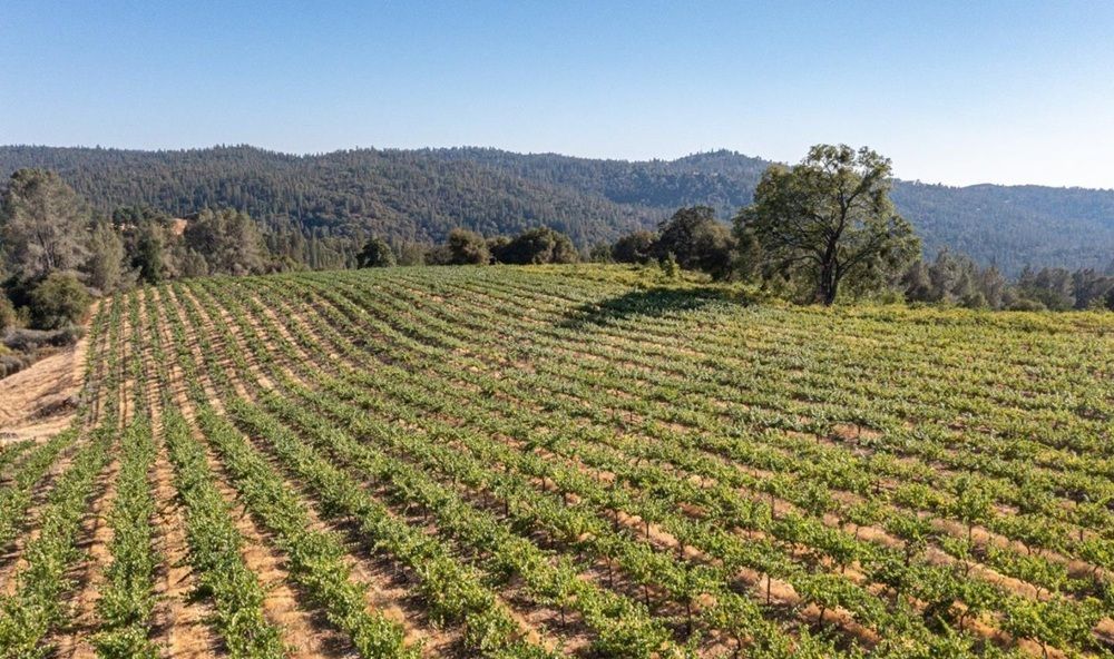 5200 Butte Creek Road