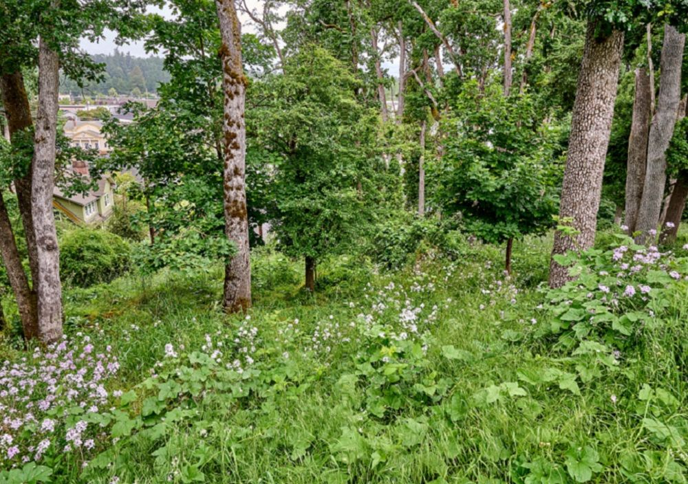 property-image-6