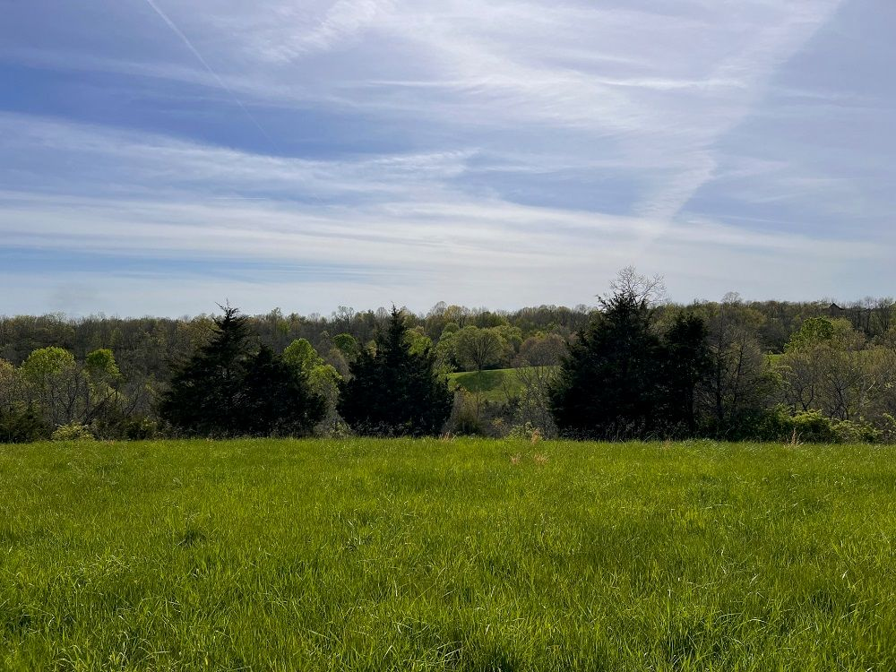 property-image-4