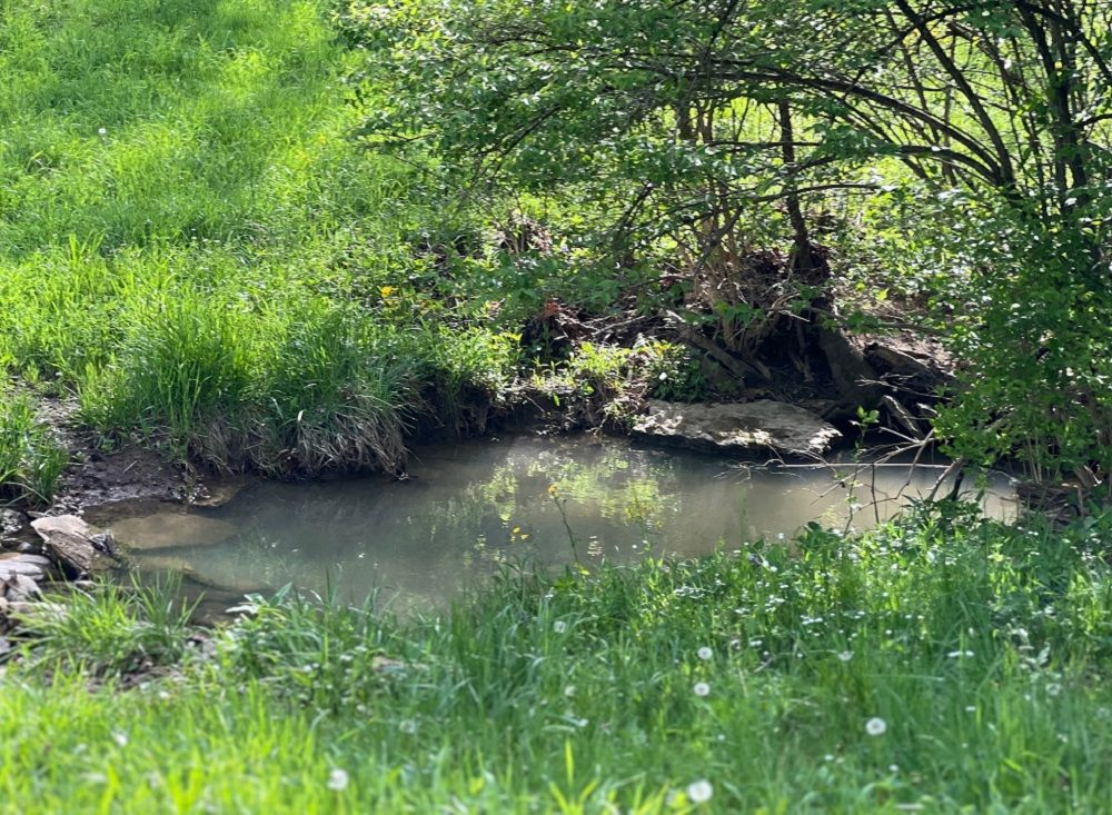 property-image-5
