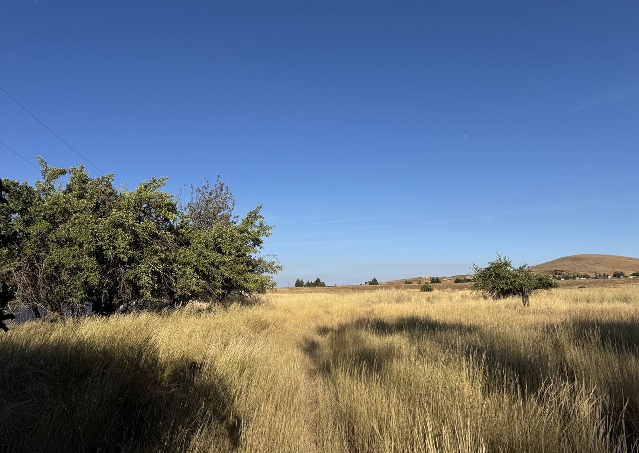 property-image-6