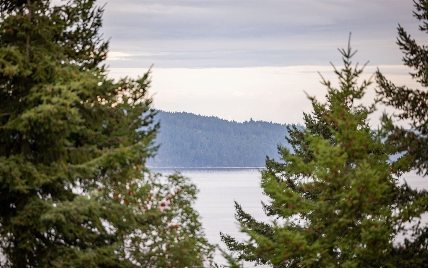 382 Discovery View Drive