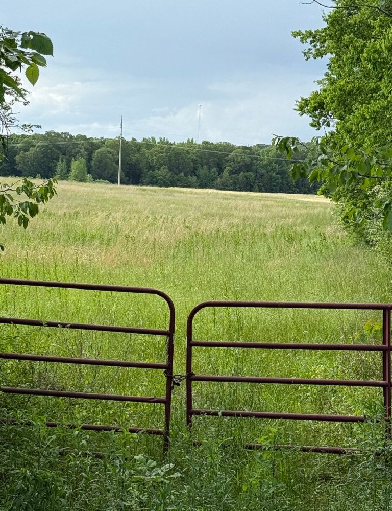 property-image-3