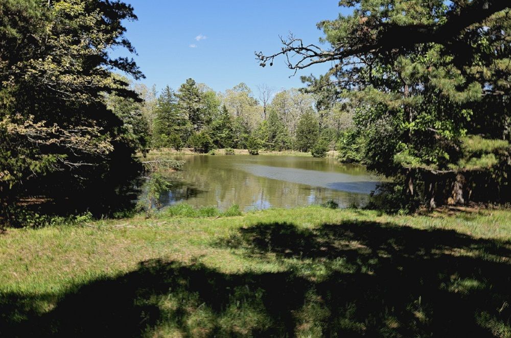property-image-6