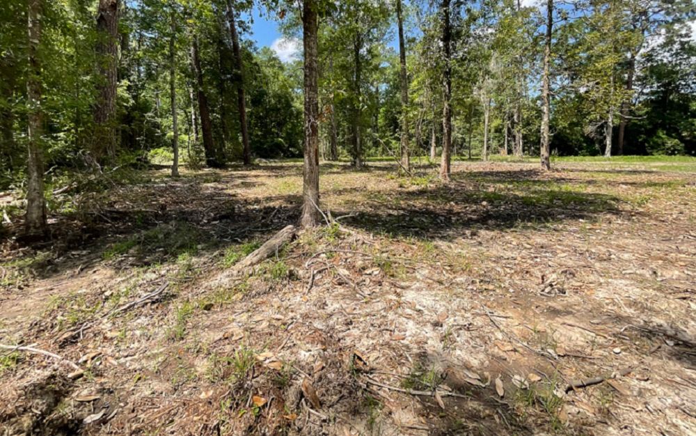 property-image-5