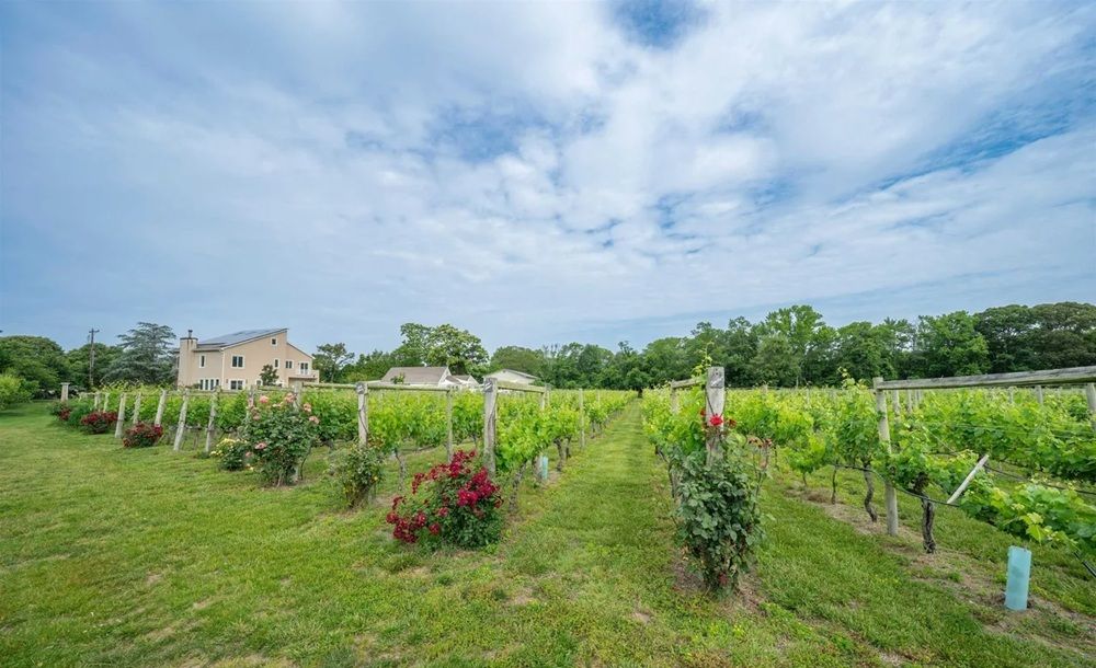 property-image-7