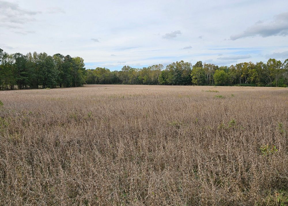 property-image-2