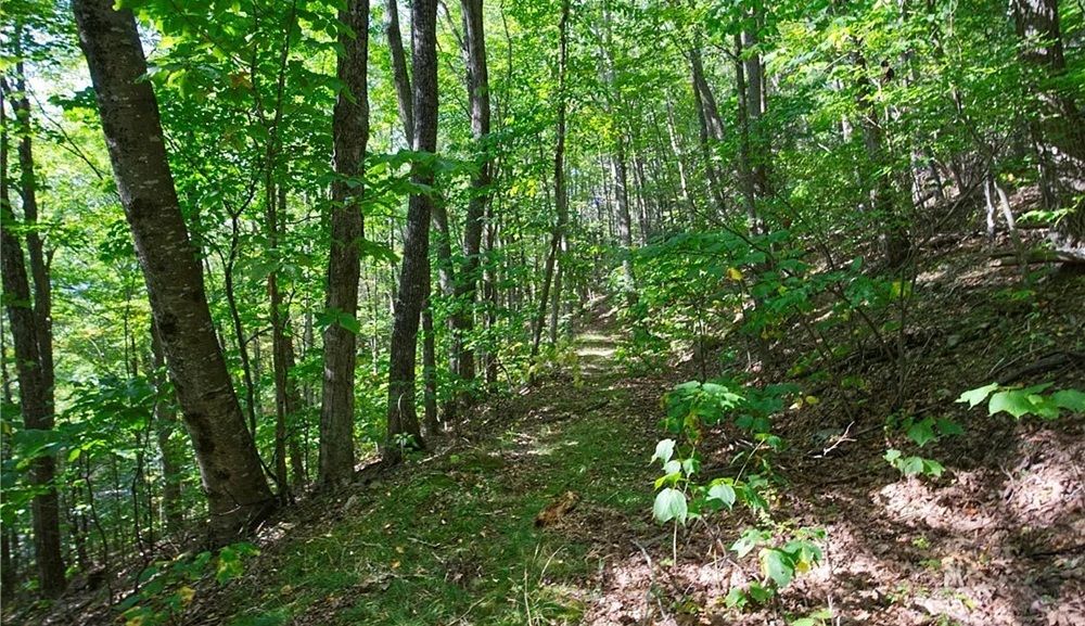 property-image-5