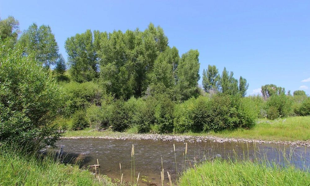 property-image-6