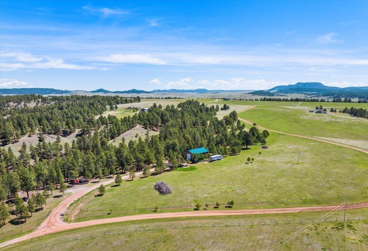 51 Derringer Trail