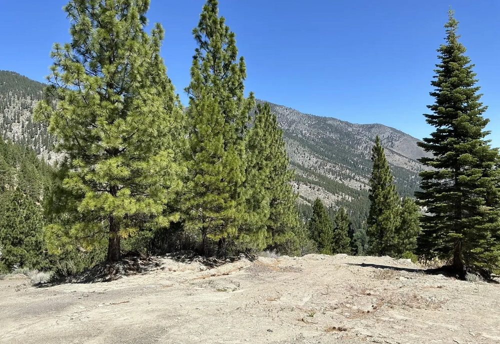 property-image-6