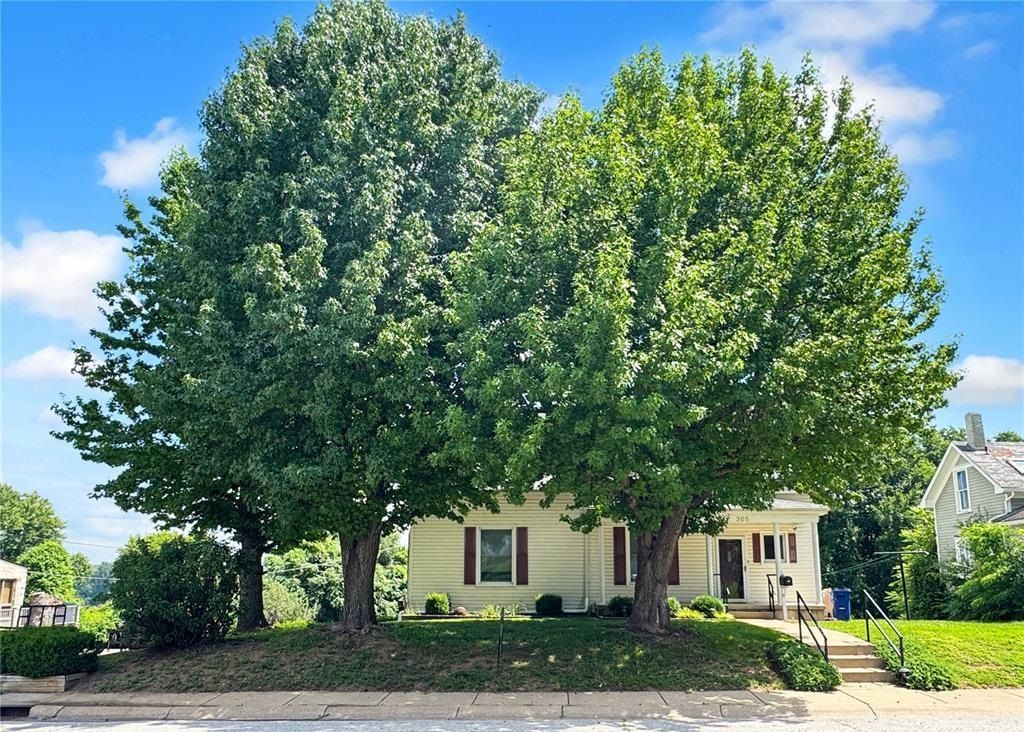 Downtown Location - Large Lot