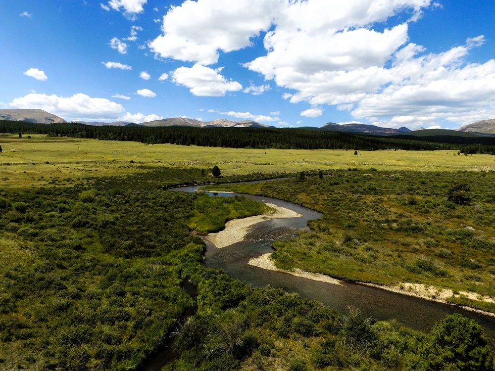 Woolly Bugger Ranch