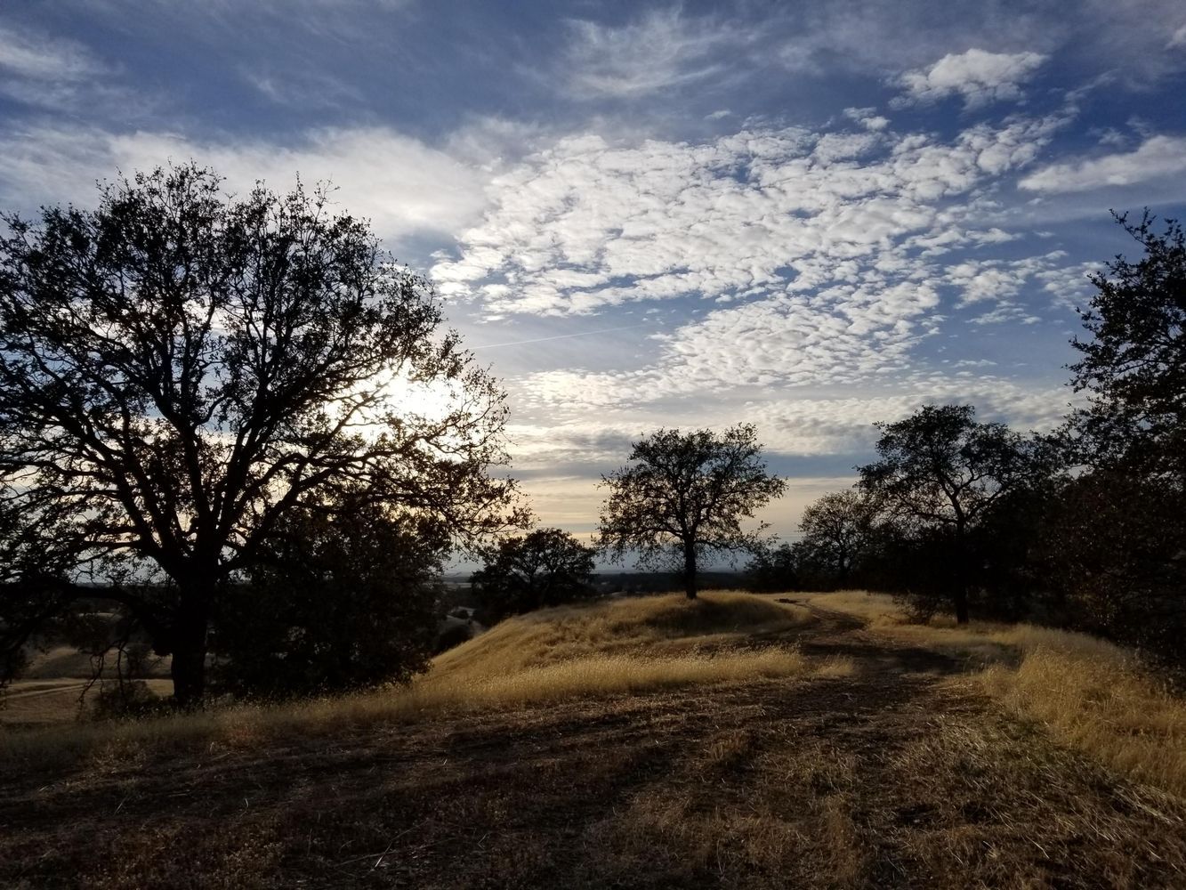 Lot 79 River Downs Way