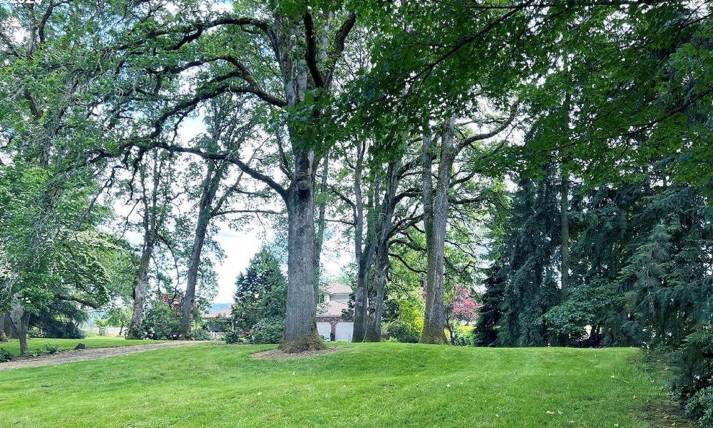 Secluded Sauvie Island Retreat Wildlife, Gardens & Endless Views