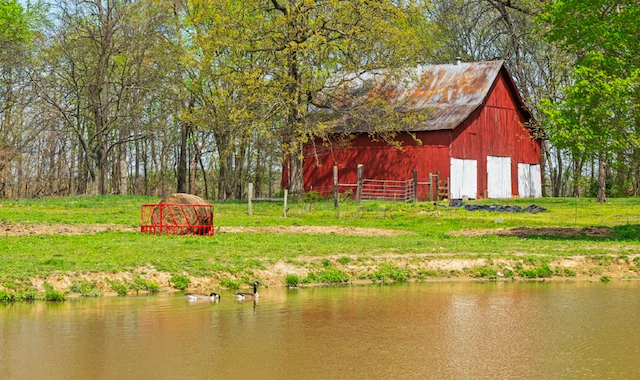 property-image-3