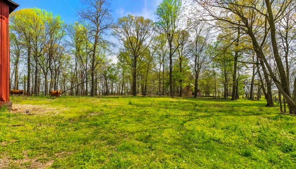 property-image-5