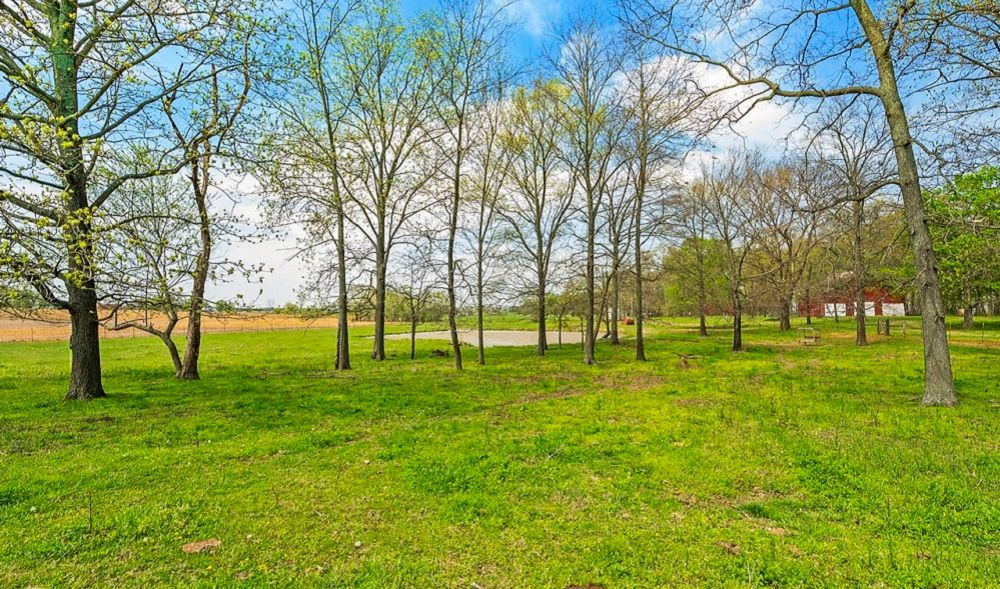 property-image-6