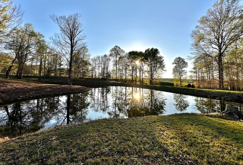 property-image-7