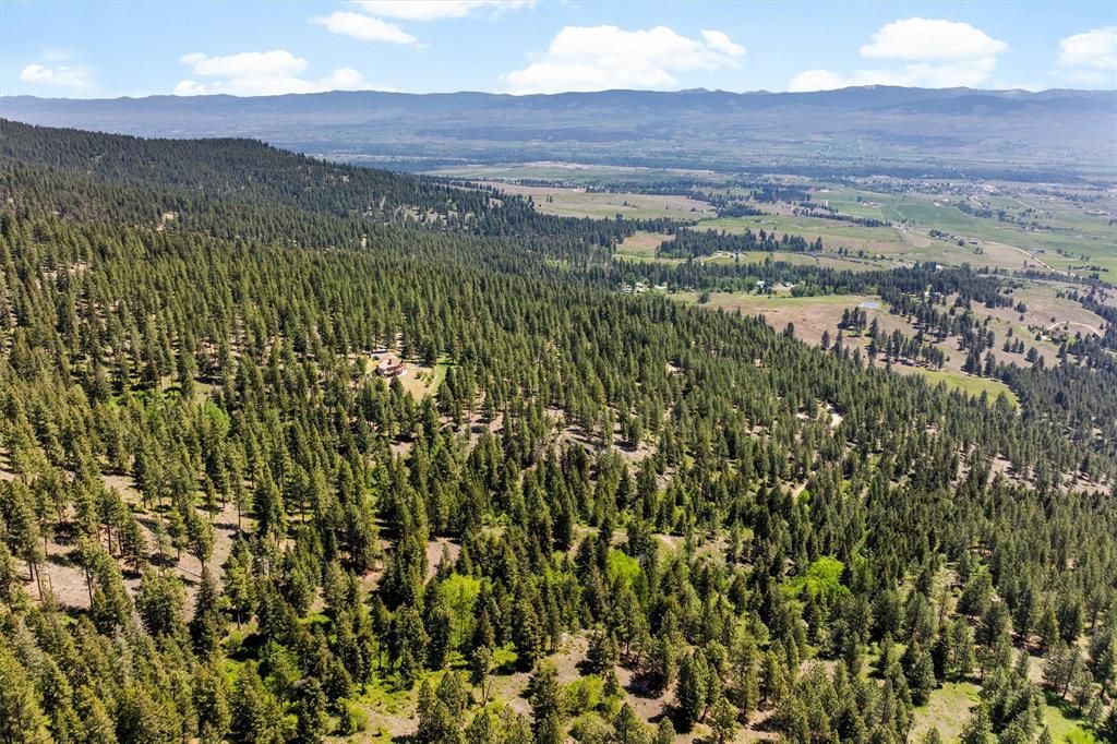 Legacy Wilderness Mountain Escape