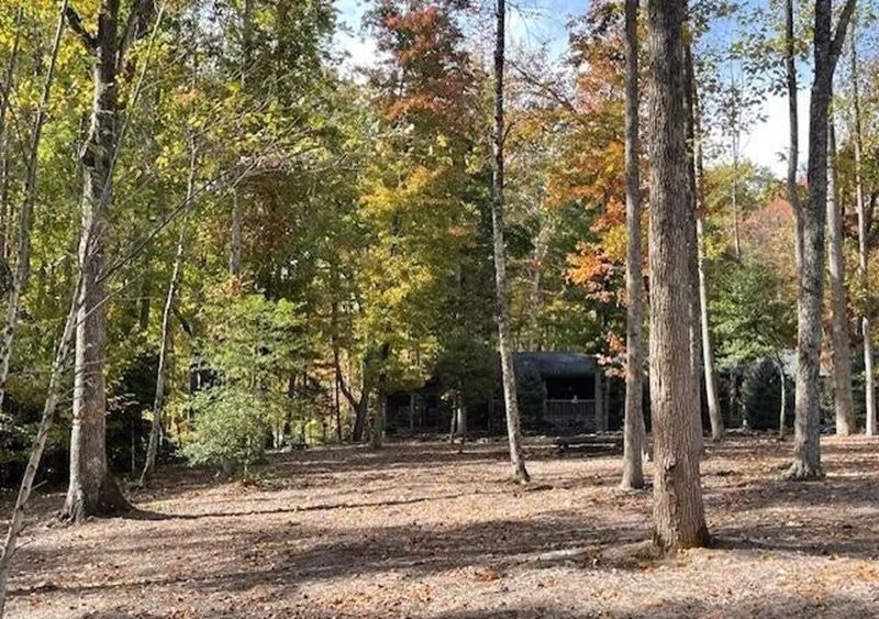 property-image-2
