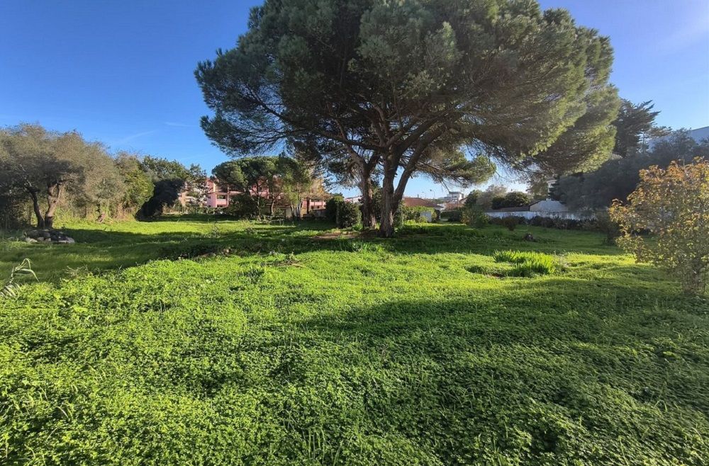 property-image-2