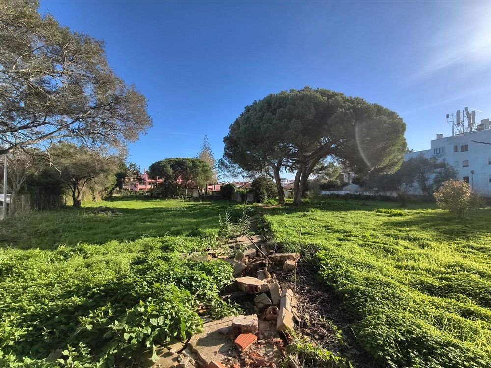 property-image-6