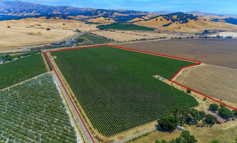 Wild Oak Vineyards Your Suisun Valley Oasis