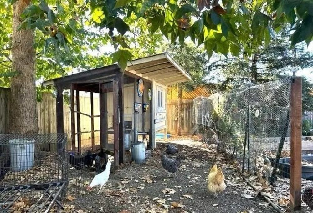 property-image-7