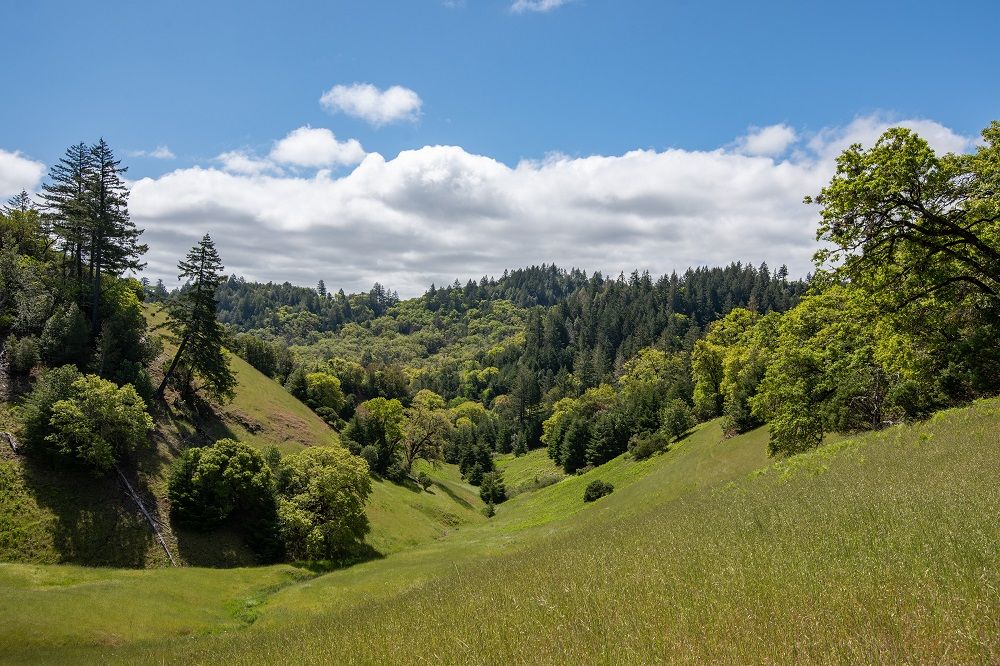 30131 Elkhorn Road