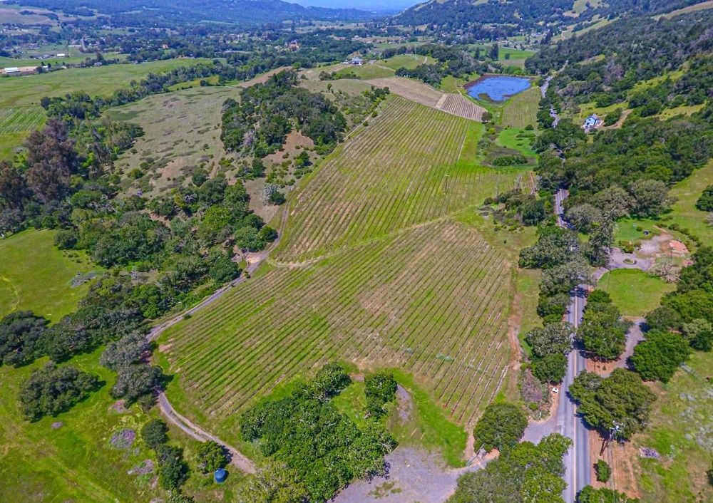 Build Your Dream Estate Bennett Valley Vineyard
