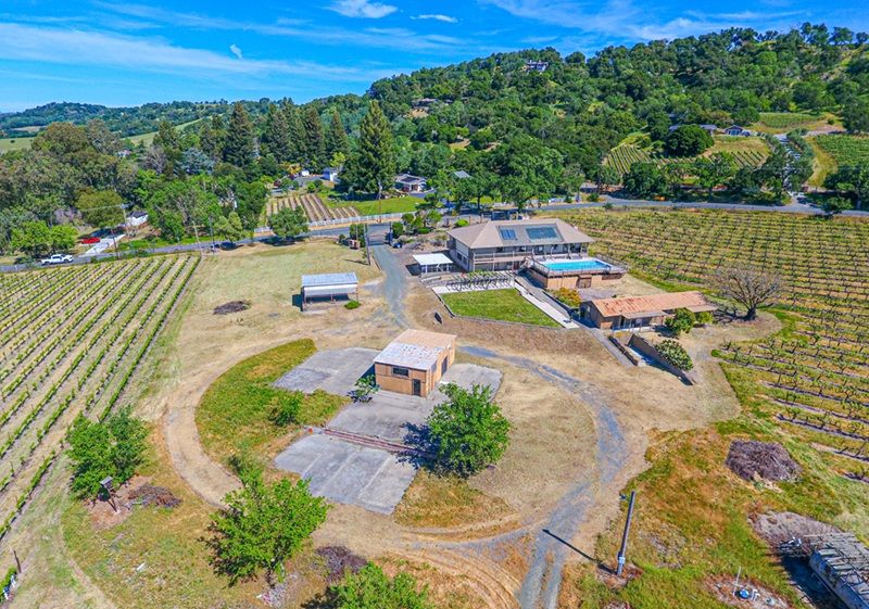 Shiloh Vineyard View Estate!
