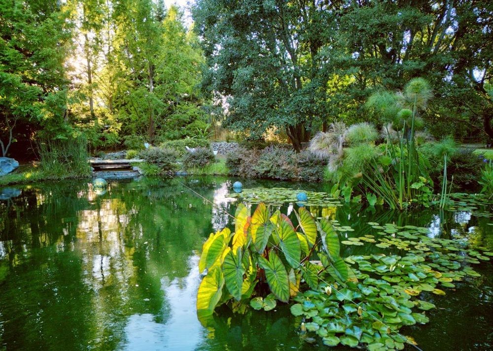 property-image-4