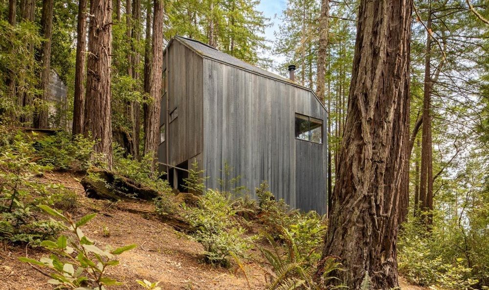 Architectural Sea Ranch Cabin