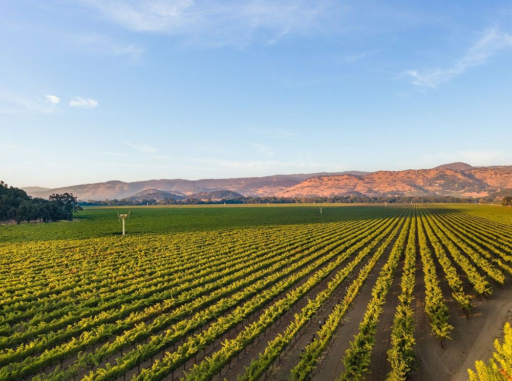 Napa Valley Living, Effortlessly