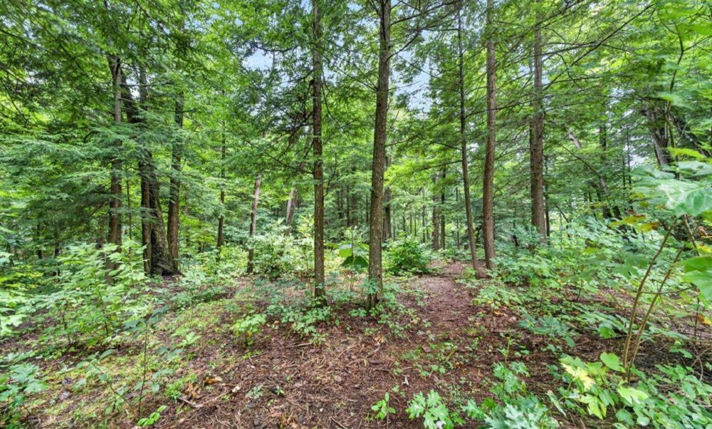 property-image-4