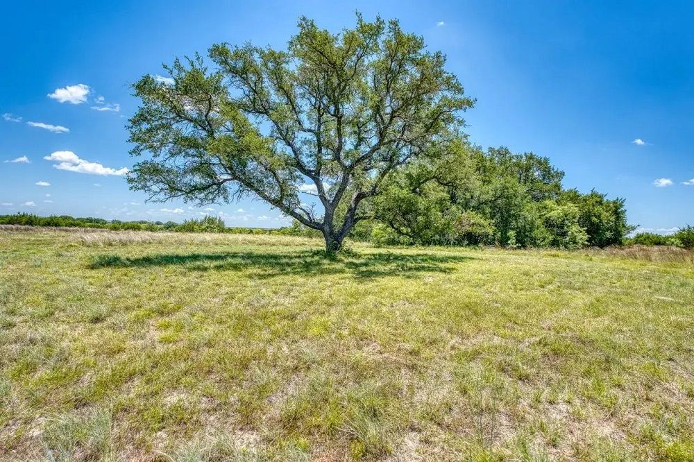 property-image-4