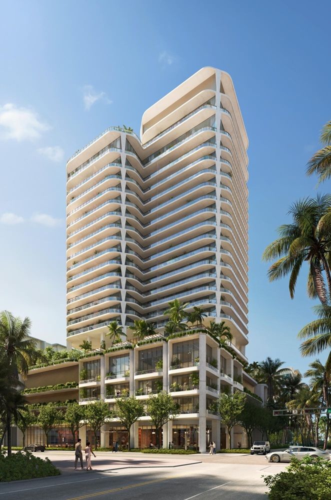 Banyan Tree In West Palm Beach