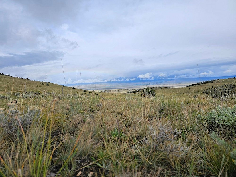 Lot 218a Cow Camp Trail