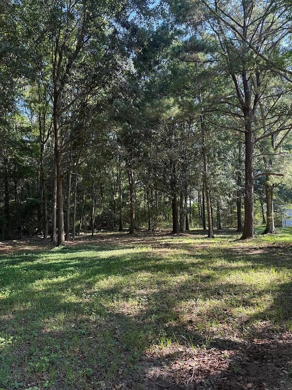 Sioux Bayou Dr
