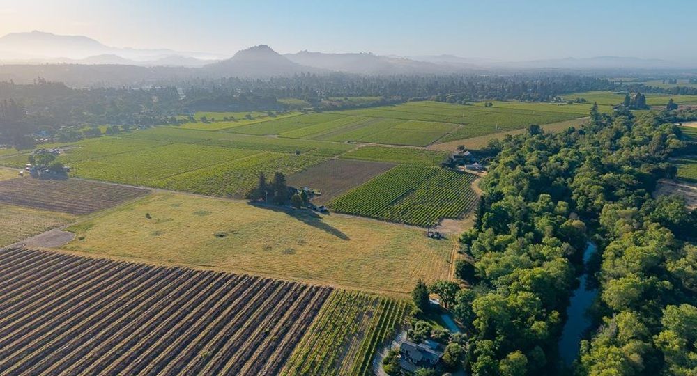 Plant Roots. Pour Wine. Escape The City Grind.